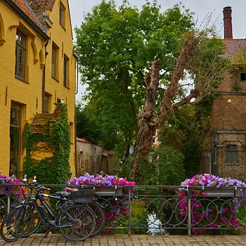 Bikes in Bruges