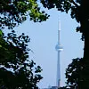 Experience the Best of Toronto