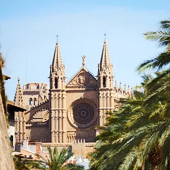 Palma Cathedral